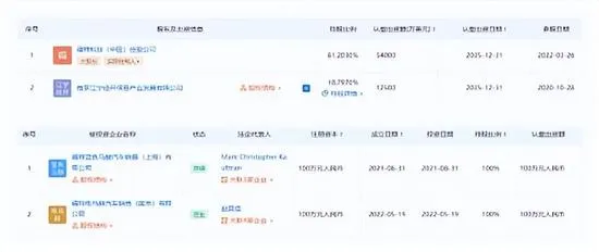 福特：将以独立公司来运作中国电动车业务